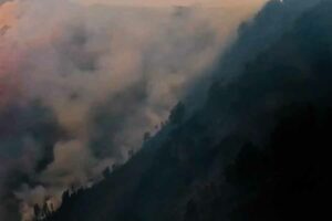 Kebakaran hutan dan lahan di Taman Nasional Bromo Tengger Semeru (TNBTS). Kini kasus ini telah ditangani Polda Jatim (foto: istimewa)