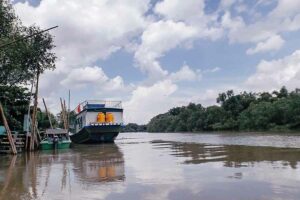 3 Wisata Mangrove Surabaya yang Wajib Dikunjungi, Dimana Saja? Kawasan wisata mangrove di Wonorejo, Surabaya