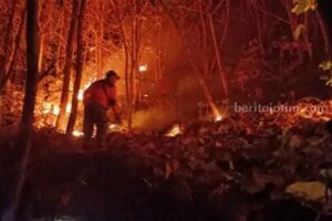 Gawat, Hutan dan Lahan di Magetan Kebakaran Empat Kali dalam Sepekan! Petugas sedang berusaha memadamkan api di Gunung Bancak masuk Desa Garon Kecamatan Kawedanan Magetan, Jumat (8/9/2023) malam (foto: dok beritajatim.com)