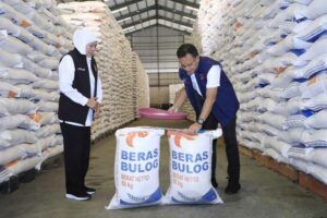 Total bantuan beras yang disalurkan untuk tahap II ini sebanyak 102 ribu ton untuk 3,4 juta Keluarga Penerima Manfaat (KPM) di Jawa Timur.