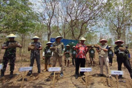 Dukung Sumber Pangan Alternatif, YDSF dan PT Pelindo Sukses Panen Porang 50 Ton Panen raya porang di Desa Sumberbendo, Kecamatan Saradan, Madiun.