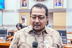 Sekjen DPP Partai Demokrat Teuku Riefky Harsya