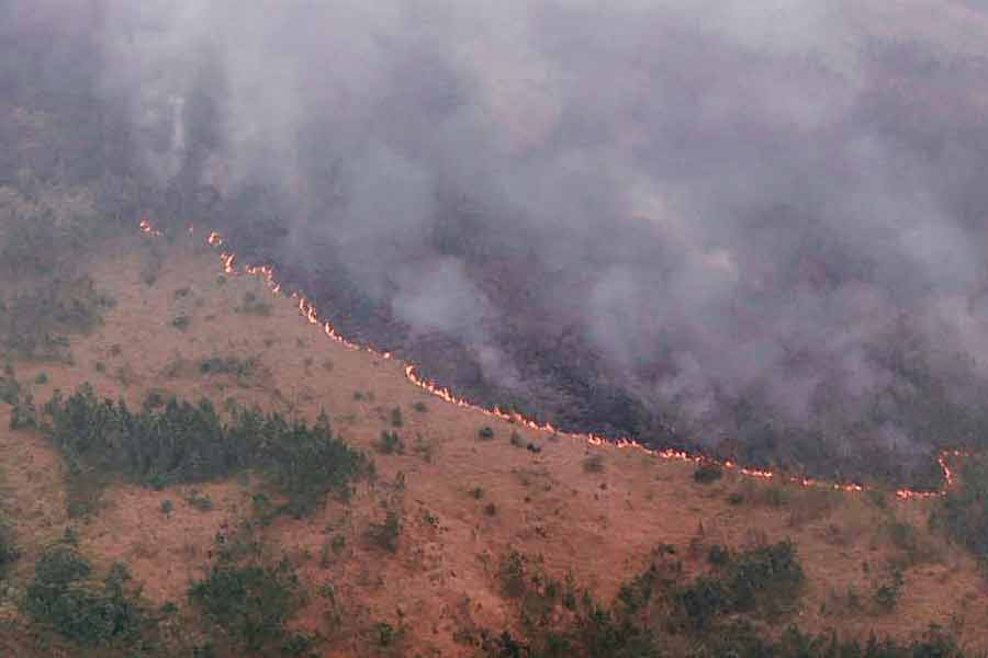 Kebakaran hutan dan lahan (karhutla) di wilayah Gunung Arjuno 