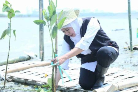 Gubernur Khofifah saat menghadiri Festival Mangrove ke-5 di Romokalisari Adventure Land Kota Surabaya