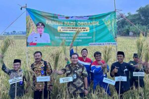 Panen Lima Kali, Kelompok Tani Binaan Pertamina EP Optimalkan Pertanian Organik