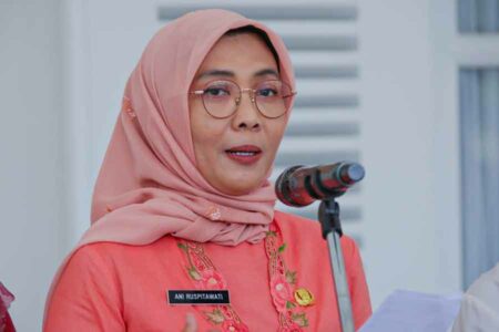 Ani Ruspitawati, Pelaksana Tugas Kepala Dinas Kesehatan Provinsi DKI Jakarta