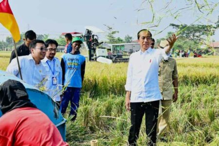 Presiden Jokowi saat mengunjungi panen raya padi di Desa Ciasem Girang, Kabupaten Subang, Provinsi Jawa Barat (foto: BPMI Setpres)