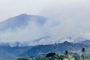 Pemadaman Karhutla Gunung Lawu Jalur Udara Dihentikan, Area Terdampak Capai 2.185 Hektar Kebakaran hutan dan lahan di Gunung Lawu (foto: istimewa)