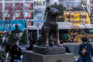 Patung Hachiko, anjing ras Akita asal Jepang, di Shibuya, Tokyo, Jepang (foto: Darel Low, unsplash)
