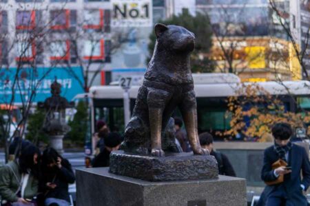 Mengenang 100 tahun Hachiko, Inspirasi Kesetiaan yang Menyentuh Hati Dunia Patung Hachiko, anjing ras Akita asal Jepang, di Shibuya, Tokyo, Jepang (foto: Darel Low, unsplash)