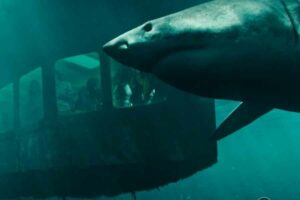 Adegan dalam 47 Meters Down: Uncaged (2019)