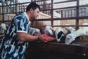 Dukung Peternak di Kudus, Tim PKUM Undip Bagikan Alat Produksi Pakan Komplet