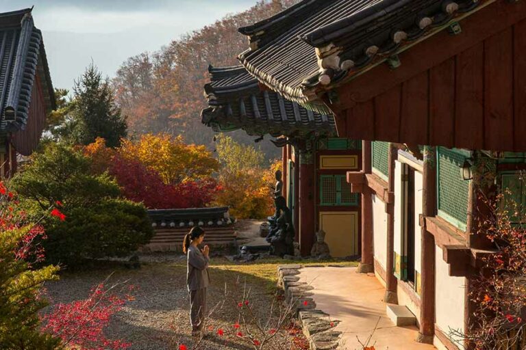 Saat Tradisi Kuno dan Modernitas Melebur dalam Pengalaman Wisata Templestay Korea