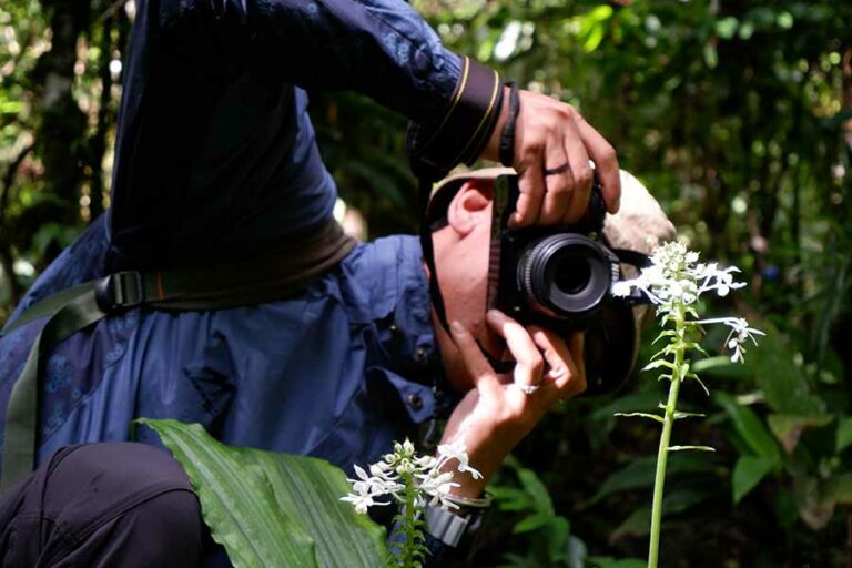 Pemotretan semua bagian tumbuhan mulai dari tempat hidup, bagian bunga, batang, daun, hingga akar. Kemudian masing-masing bagian diukur dengan detail. (foto: Titik Kartitiani, pilar.id)