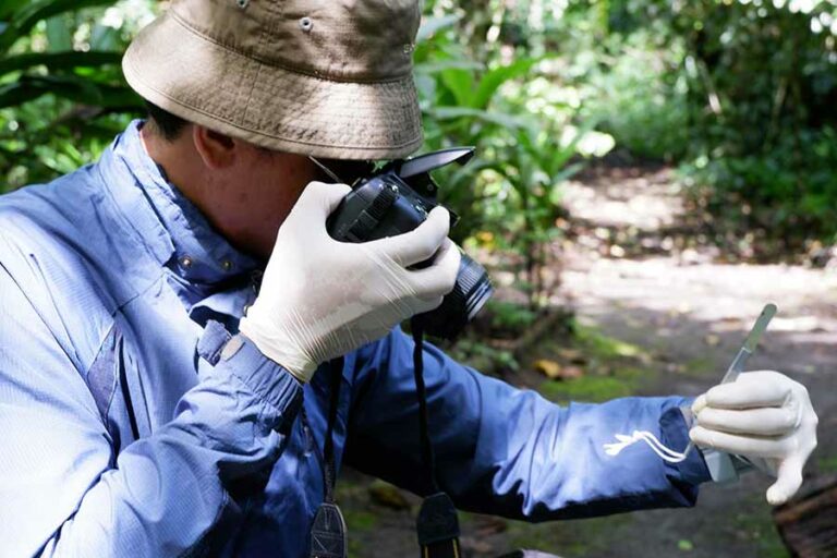 Bunga merupakan kunci identifikasi tumbuhan, termasuk anggrek. Taksonom melakukan pembedahan dan pengukuran bagian bunga berdasarkan sepal (kelopak), petal (mahkota), labellum (bibir/lidah), hingga ke bagian paling kecil yaitu serbuk sari atau polen. (foto: Titik Kartitiani, pilar.id)