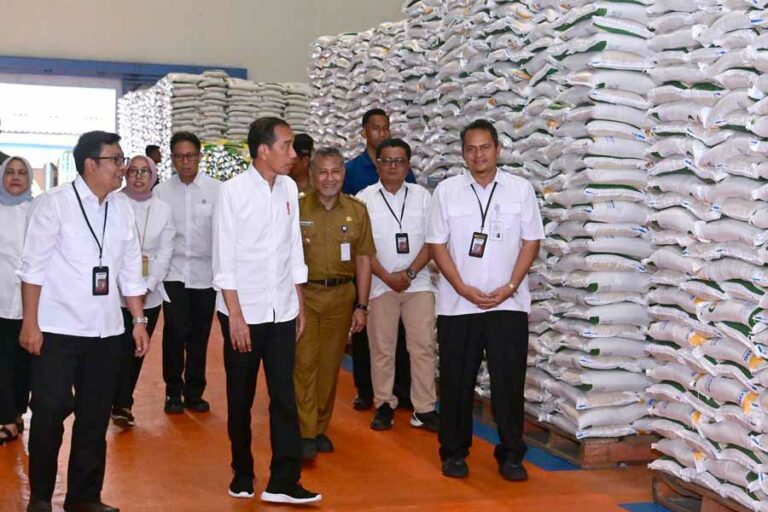 Presiden Joko Widodo saat melakukan pemeriksaan cadangan beras di Gudang Bulog Bengkal Lor, Kabupaten Temanggung, Jawa Tengah (foto: Dok BPMI Setpres)