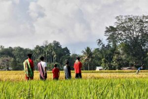 Wacana Crowdfunding untuk Pembangunan Desa, Ini Tanggapan Pakar Antropologi Ilustrasi kehidupan masyarakat di desa (foto: Faridaridhwan, pixabay)