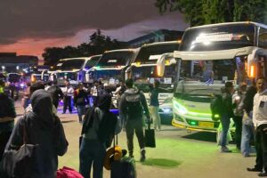 Armada bus DAMRI menunggu calon penumpang