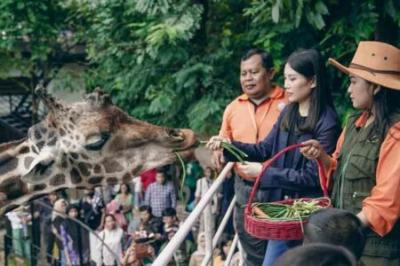 Wamenparekraf Apresiasi Kebun Binatang Surabaya yang Bangkit dari Pandemi Angela Tanoesoedibjo saat meninjau Kebun Binatang Surabaya