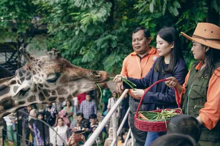 Angela Tanoesoedibjo saat meninjau Kebun Binatang Surabaya