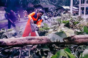 BPBD Kebumen saat menangani pohon-pohon tumbang yang menutupi jalan (foto: Dok Diskominfo Kebumen)