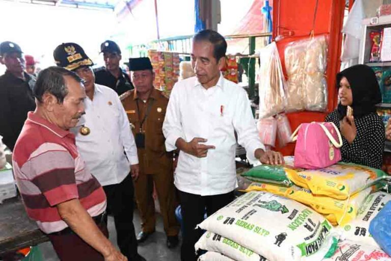 Presiden Jokowi Tinjau Harga dan Stok Bahan Pokok di Pasar Kawat Tanjungbalai Presiden Jokowi saat mengunjungi Pasar Kawat, Kota Tanjungbalai, Provinsi Sumatra Utara (foto: Dok BPMI Setpres)