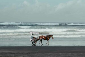 Kawasan Wisata Pantai Parangtritis, Yogyakarta, salah satu pantai landai yang menghadap langsung ke Samudera Hindia (foto: Elang Wardhana, unsplash)