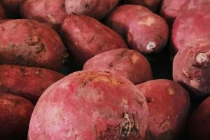Ubi jalar, alternatif sumber karbohidrat (foto: Juno Jo, unsplash)