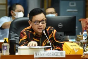 Wakil Ketua Komisi VIII DPR RI, Ace Hasan Syadzily