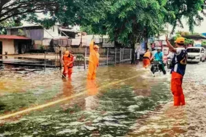 Tiga Wilayah di DKI Terdampak Curah Hujan Ekstrem, Mana Saja?