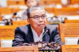 Anggota Badan Legislatif DPR RI, Hermanto