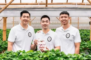 Dorong Revolusi Buah Premium dari Indonesia, Hyoshii Farm Raih Pendanaan Awal