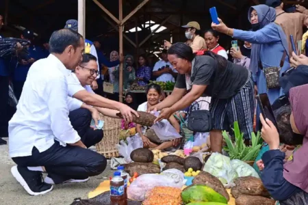 Presiden Jokowi saat berdialog dengan pengunjung dan pedagang Pasar Salakan, Banggai Kepulauan (foto: Dok BPMI Setpres)