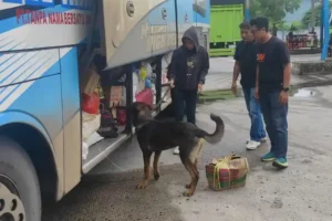 Aksi anjing K9 saat melacak peredaran narkoba (foto: Dok Humas Polri)