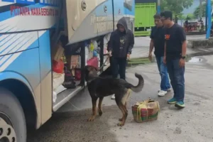 Lacak Peredaran Narkoba di Pelabuhan Bakauheni, Anjing K9 Temukan Sabu dan Ekstasi Aksi anjing K9 saat melacak peredaran narkoba (foto: Dok Humas Polri)