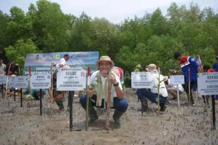 Pertamina Rehabilitasi Mangrove di Nusa Tenggara Timur untuk Mitigasi Perubahan Iklim