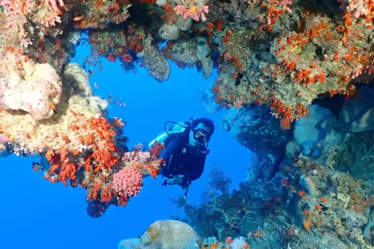 (foto: Muhammad Ramadhany, Yayasan WWF Indonesia)
