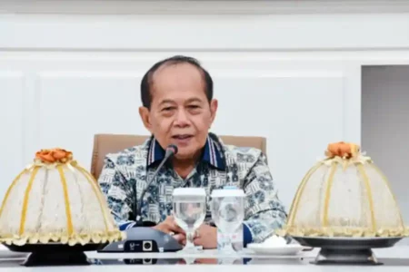 Wakil Ketua MPR, Syarief Hasan