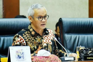 Wakil Ketua Komisi VI DPR RI Aria Bima