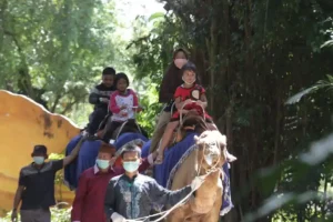 Suasana di Kebun Bintang Surabaya