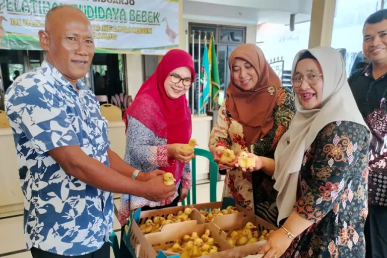 Bagikan Anakan Gratis, Pemkab Sidoarjo Dukung Pengembangan Budidaya Bebek Pedaging