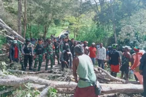 Jalan Penghubung di Lanny Jaya Diblokade, Satgas Yonif 721 Langsung Turun Tangan Personil Satgas Yonif 721/Makkasau saat meneyesaikan penutupan akses jalan penghubung di Kabupaten Lanny Jaya, Papua Pegunungan
