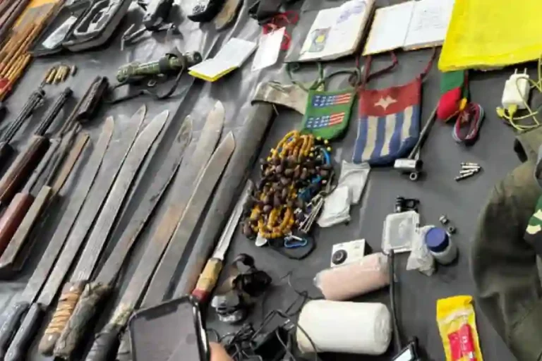 Satgas Ops Damai Cartenz 2024 Duduki Markas KKB di Bibida-Paniai, Puluhan Barang Bukti Diamankan Sejumlah barang bukti yang ditemukan di markas KKB pimpinan Undius Kogoya (foto: Dok Humas Polri)