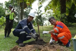 PT Pertamina Hulu Mahakam Gelar Aksi Penanaman Pohon dan Urban Farming untuk Konservasi