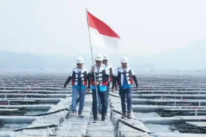 PLN Raih Peringkat Teratas Perusahaan Utilitas Terbaik di Asia Tenggara