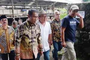 Menteri Pertanian Dorong Swasembada, Kurangi Impor Rp 37 Triliun