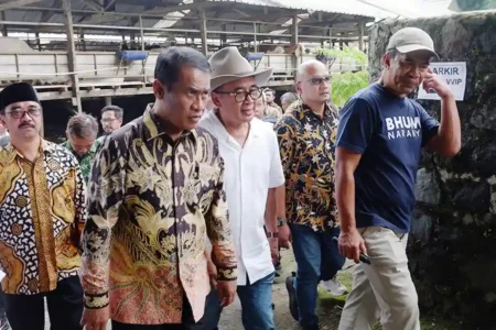 Menteri Pertanian Dorong Swasembada, Kurangi Impor Rp 37 Triliun