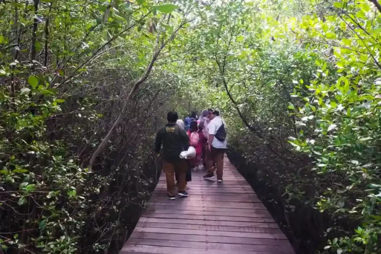 Kebun Raya Mangrove (KRM) Gunung Anyar