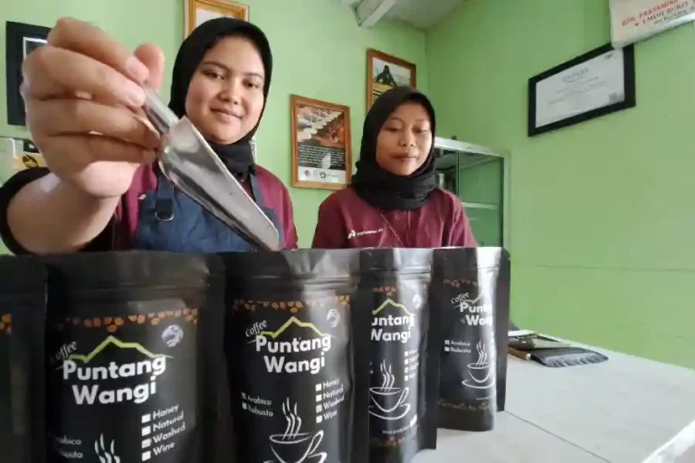 Budidaya Kopi Puntang di Desa Campaka Mulya, Kecamatan Cimaung, Kabupaten Bandung