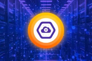 CDNetworks